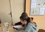 IMG_1946.jpeg