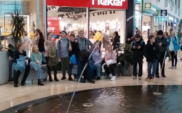 insyldspzk_____IMG_20241115_101059