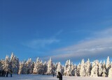 IMG-20241210-WA0039.jpg