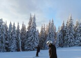 IMG-20241210-WA0040.jpg