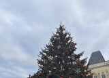 IMG_4888.jpeg