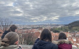 e83k8dhypz_____IMG_4894