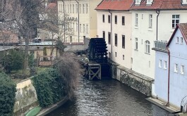 e83k8dhypz_____IMG_4894