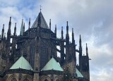IMG_4839.jpeg