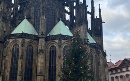 e83k8dhypz_____IMG_4894