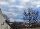 IMG_4822.jpeg