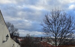e83k8dhypz_____IMG_4894