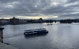 e83k8dhypz_____IMG_4894