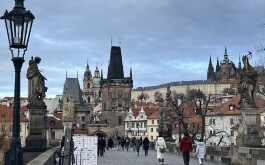 e83k8dhypz_____IMG_4894