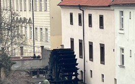 e83k8dhypz_____IMG_4894