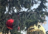 IMG_4894.jpeg