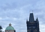IMG_4881.jpeg