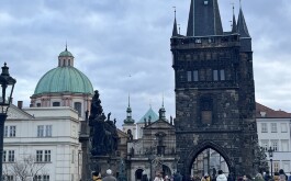 e83k8dhypz_____IMG_4894