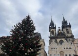 IMG_4890.jpeg