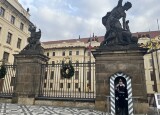 IMG_4851.jpeg