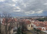 IMG_4855.jpeg