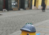 IMG_20241218_101007.jpg