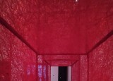 IMG_20250205_104718.jpg
