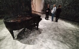 whgni8jzoh_____IMG_20250205_103138
