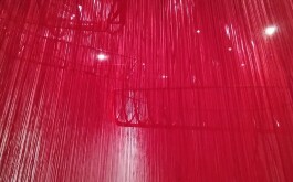 whgni8jzoh_____IMG_20250205_103138