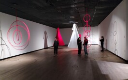 whgni8jzoh_____IMG_20250205_103138