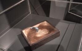 ut7x181kb0_____IMG_20250213_123945