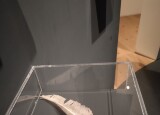 IMG_20250213_115000.jpg