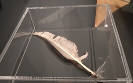 ut7x181kb0_____IMG_20250213_123945