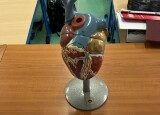 IMG_5041.jpeg