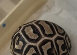 IMG_5054.jpeg