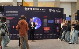 45nfl6mhrm_____0d9ee92f-ff1c-494d-95c7-7518d16e7c38