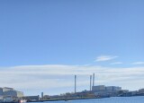 20250407_115628.jpg