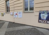 IMG_20250424_083321.jpg