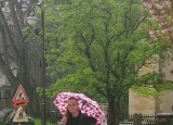 IMG_20250424_093928.jpg
