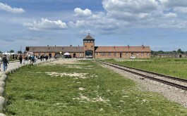 4eib8uvzy1_____4477c6c8-8925-4801-b38f-c2423c7291ef