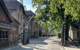 4eib8uvzy1_____4477c6c8-8925-4801-b38f-c2423c7291ef