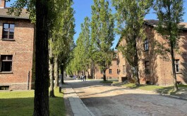 4eib8uvzy1_____4477c6c8-8925-4801-b38f-c2423c7291ef