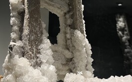 4eib8uvzy1_____4477c6c8-8925-4801-b38f-c2423c7291ef