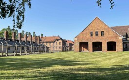 4eib8uvzy1_____4477c6c8-8925-4801-b38f-c2423c7291ef