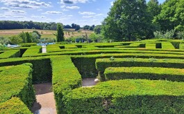 w6vlk4fw5i_____Média (21)