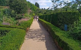 w6vlk4fw5i_____Média (21)