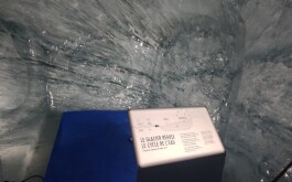 7tn3154w7b_____IMG_20250612_130244