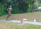 IMG_20250610_190209.jpg
