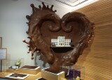 IMG_20250610_130626.jpg