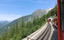 7tn3154w7b_____IMG_20250612_130244