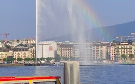 7tn3154w7b_____IMG_20250612_130244