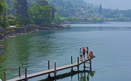 7tn3154w7b_____IMG_20250612_130244