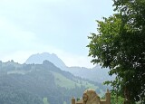 IMG_20250610_150809_1.jpg