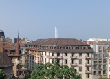 IMG_20250611_180037.jpg