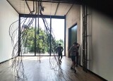 d23e22f2-4c0f-4ed6-b95e-88a7e20a6dfc.jpg